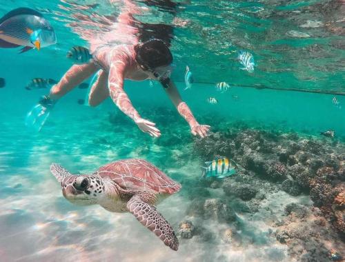 Abu Dabbab hurghada