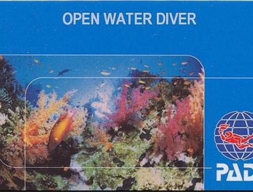Open Water Diver