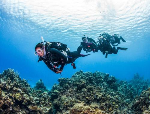 Hurghada Daily Diving