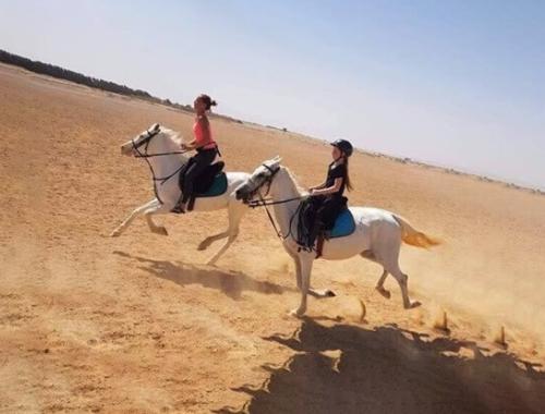 Horse Riding hurghada