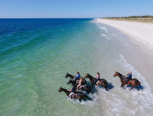 Horse Riding hurghada