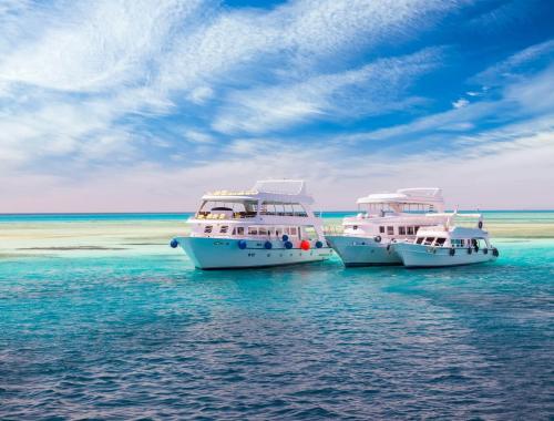 Orange Bay Island and Diving in Hurghada