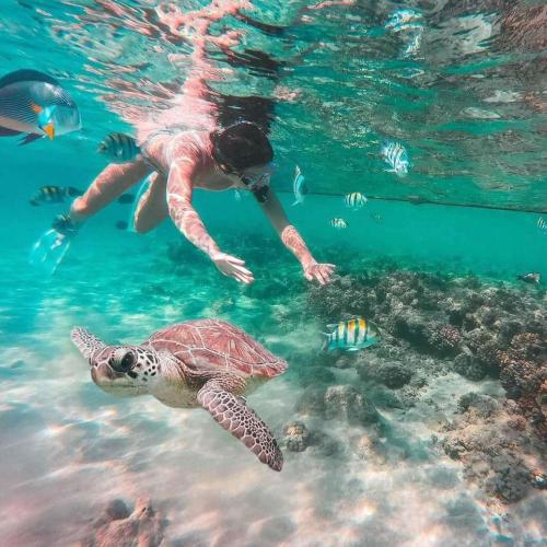 Abu Dabbab hurghada