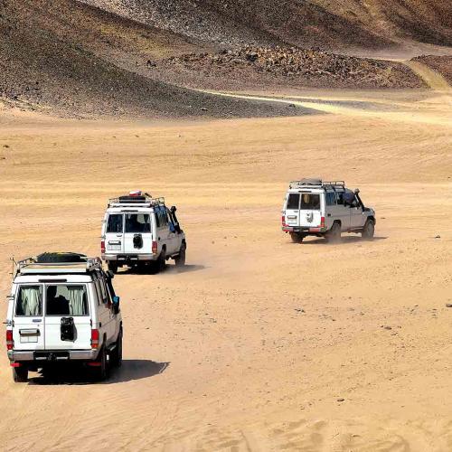 Family Safari 5 Hours (Afternoon program)