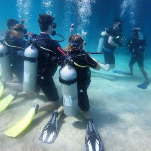 Open Water Diver