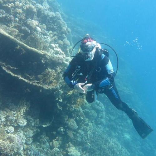 Hurghada Daily Diving