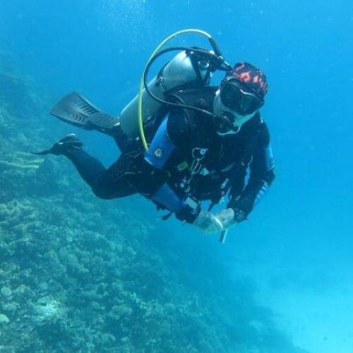 Hurghada Daily Diving