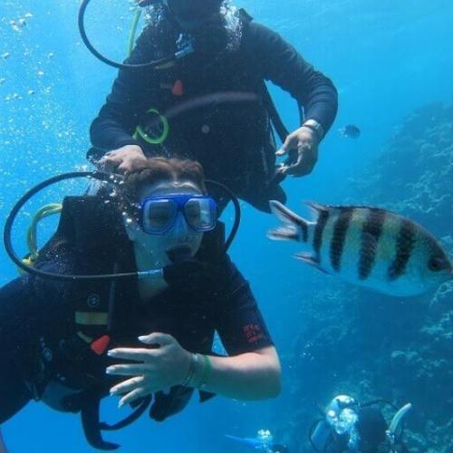Hurghada Intro Diving