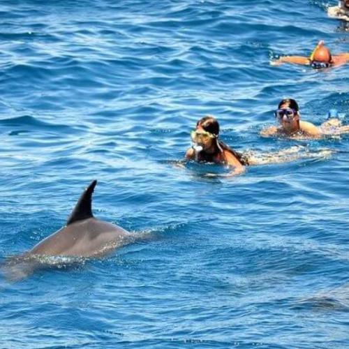 Dolphin House Hurghada