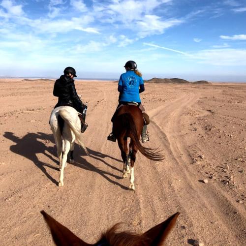 Horse Riding hurghada