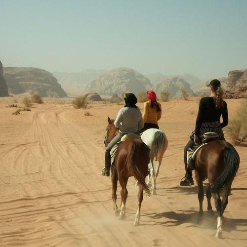 Horse Riding hurghada