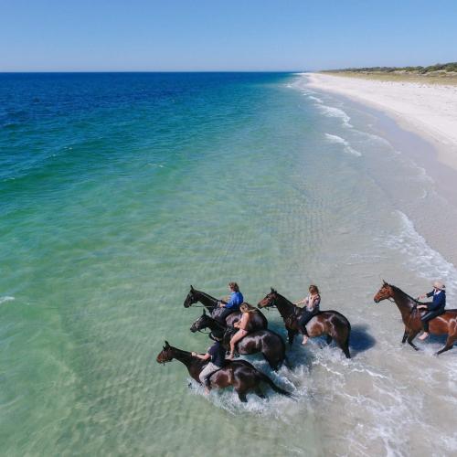 Horse Riding hurghada