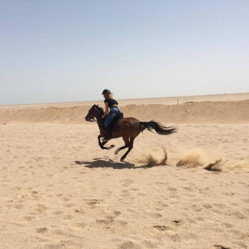 Horse Riding hurghada