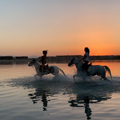 Horse Riding hurghada