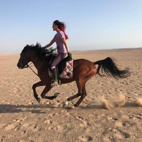 Horse Riding hurghada