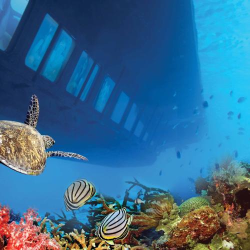 Semi-Submarine hurghada